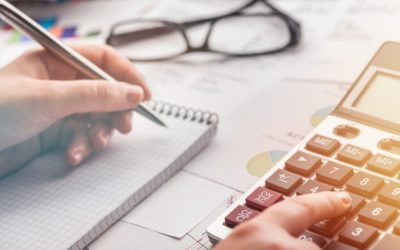 Government Technology Implications: Budgets and Commitment Accounting