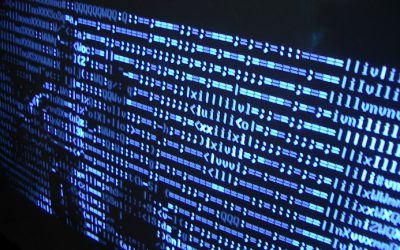 Government Digital Transformation 2017