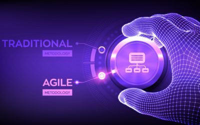 Agile Facilitates Government Change Management