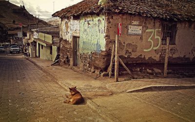 Are we Confronting Economic Challenges in Latin America?