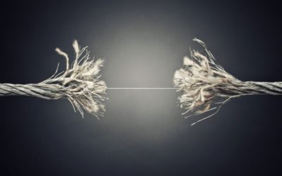 The Value of Program Budgeting in a Permacrisis