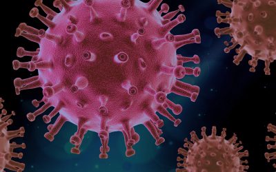 How does  Effective Public Financial Management Improve COVID-19 Pandemic Responses?