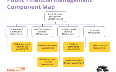 15 Ways Governments Leverage the FreeBalance Accountability Suite to Optimize Pandemic Response and Fiscal Resilience