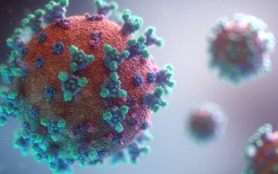Our Global Social Responsibility During a Pandemic