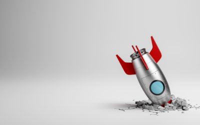 ERP Failures in Government