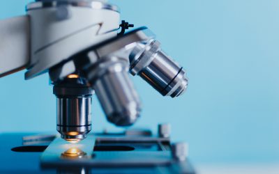 3 Major Public Finance Innovation Takeaways from the Pandemic