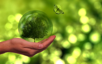 How Does Public Financial Management Support the SDGs?