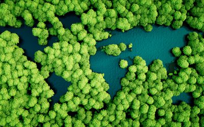 Public Finance to the Sustainability and Resilience  Rescue