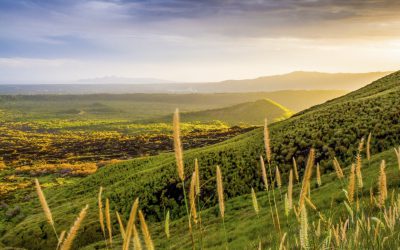 What Is the Heart of Country Resilience?