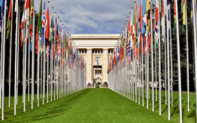 The New FreeBalance International Steering Committee Process