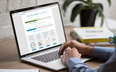 Organizational Change Management in Large IT Projects