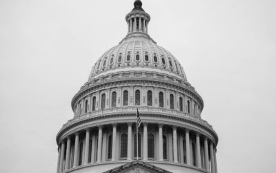 Just When you Thought it was Safe to Implement ERP in Government