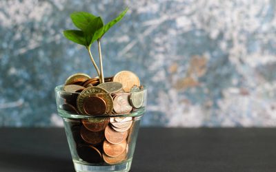 How to Improve Public Expenditure and Financial Accountability Assessment with FreeBalance
