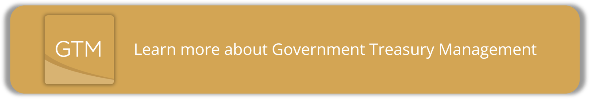 Government Treasury Management