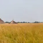 Capacity Building in South Sudan