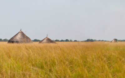 Capacity Building in South Sudan