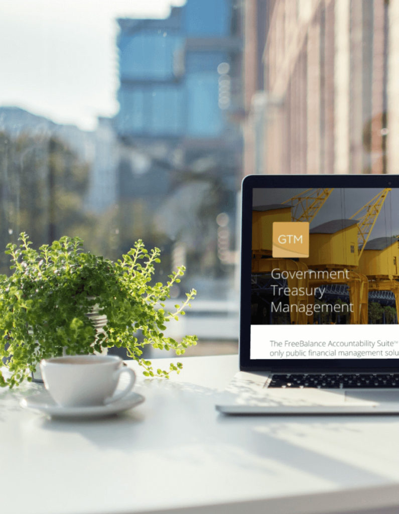 Implementing Government Treasury Management Tools Across the Digital Journey