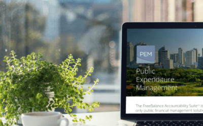Maximizing Efficiency and Transparency in Public Expenditure Management with Digital Tools
