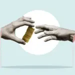 Combatting Government Corruption: The Role of Transparency Measures