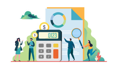 The Role of Public Participation in Government Budgeting: Promoting Transparency and Accountability